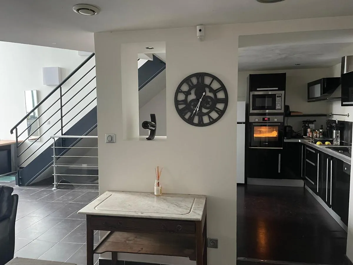 Loft Triplex 3 Chambres Doubles Villeurbanne